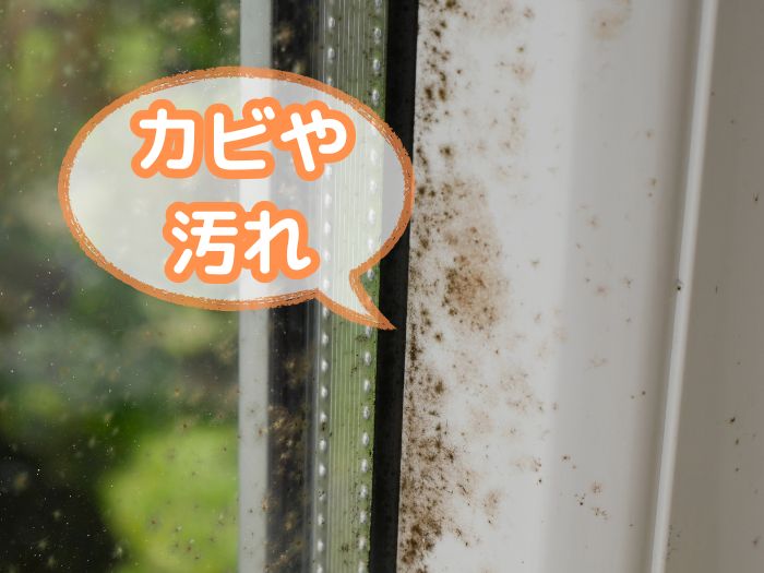 カビや汚れ