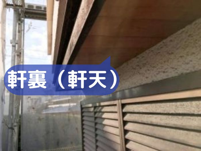 軒裏