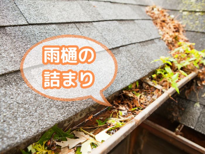 雨樋の詰まりや破損