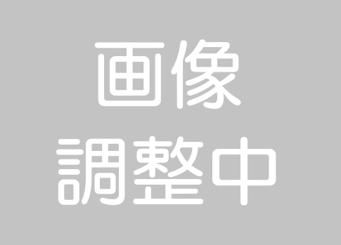 お家の雨漏り修理